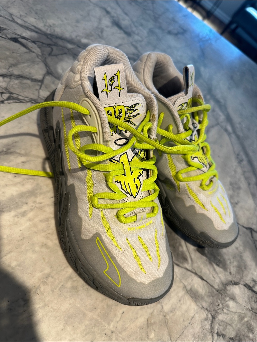Puma Melo
